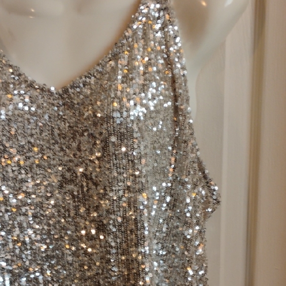 Daytrip Silver Sequin Tank Top - Picture 4 of 15